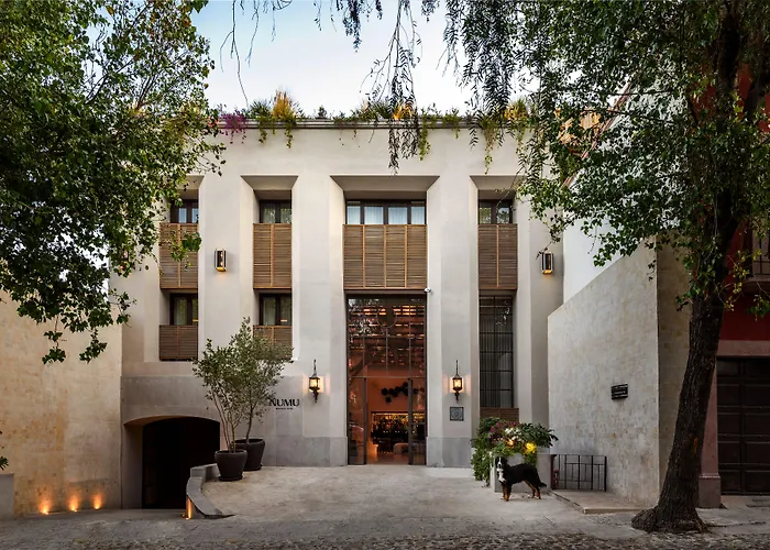 Numu Boutique , The Unbound Collection By HyattBoutique Hotel